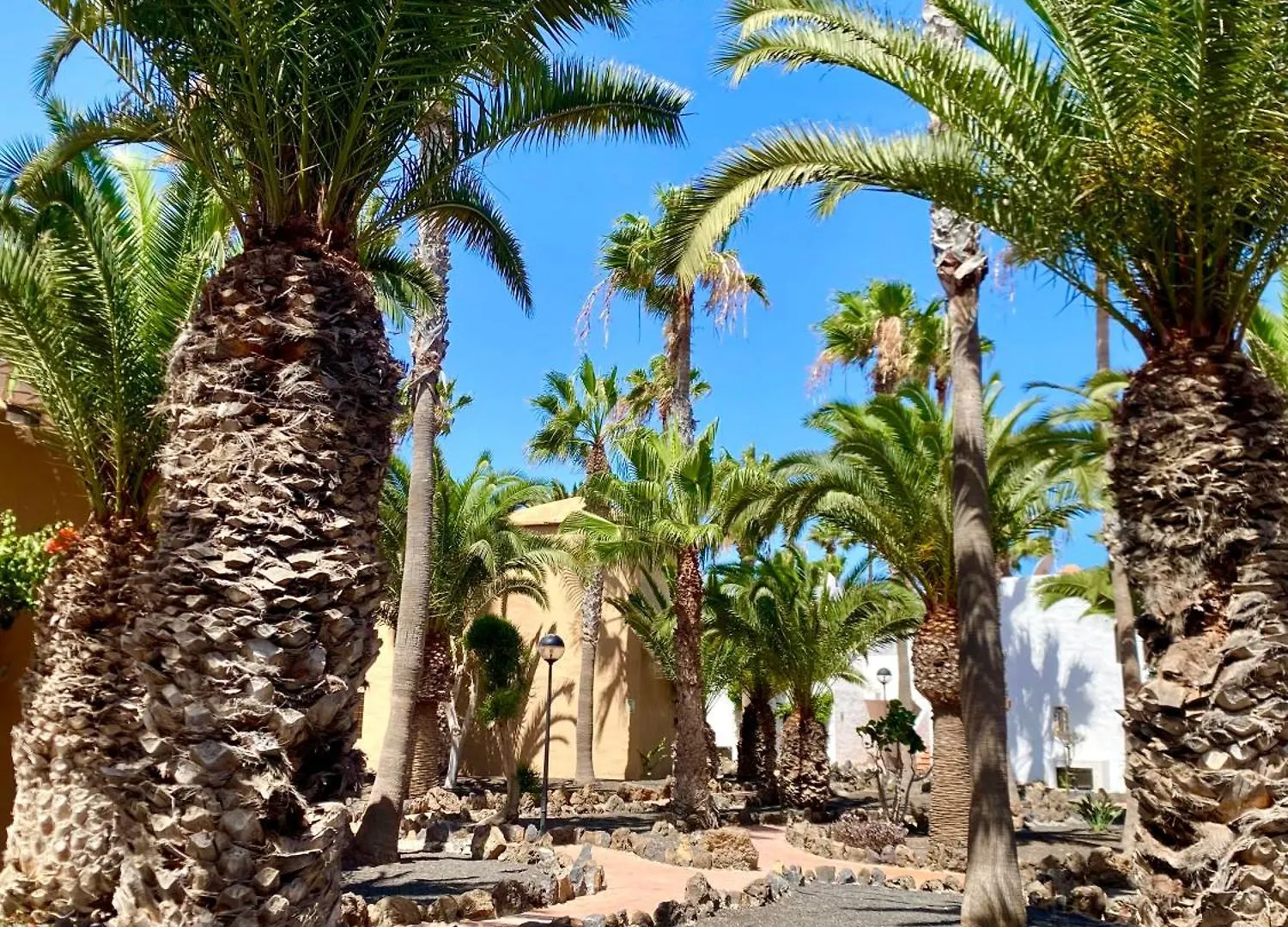 Blanca Del Sol Oasis Duna Corralejo